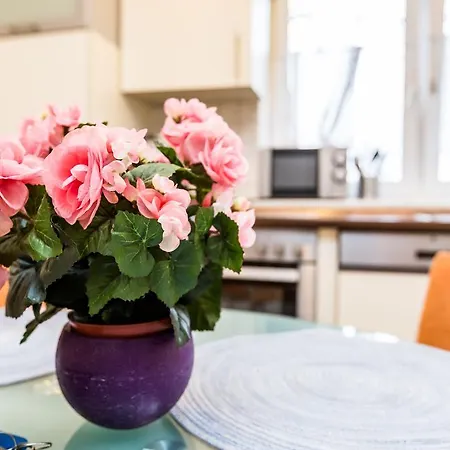 아파트 Ferienwohnung Messe